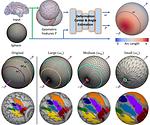 [류일우 교수] Isotropic spherical region enlargement and background ...