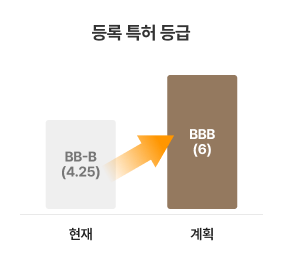 등록 특허 등급 현재 BB-B(4.25), 계획 BBB(6)