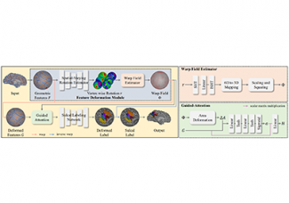 [류일우 교수] Leveraging Input-Level Feature Deformation with Guided-Attention for Sulcal Labeling