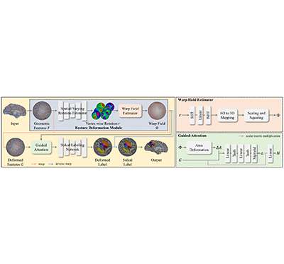 [류일우 교수] Leveraging Input-Level Feature Deformation with Guided-Attention for Sulcal Labeling